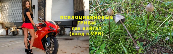 ешки Липки